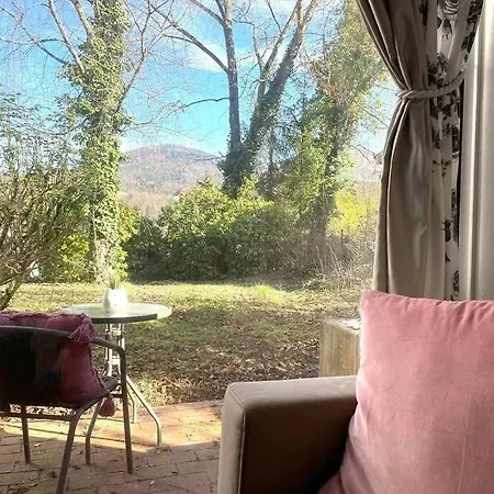 Apartment Merkurblick In Baden-Baden
