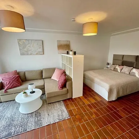 Merkurblick In Apartment Baden-Baden